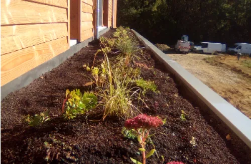 Visuel formation Toiture végétalisée