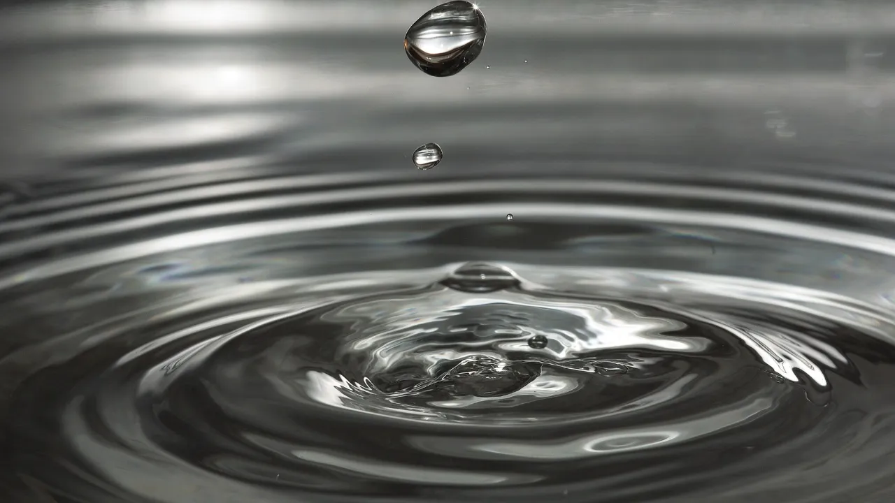 Image de la formation Gestion durable de l'eau