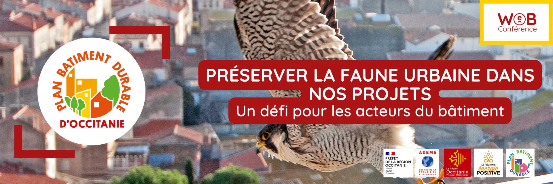Webinaire PBDOC Biodiversité faune urbaine