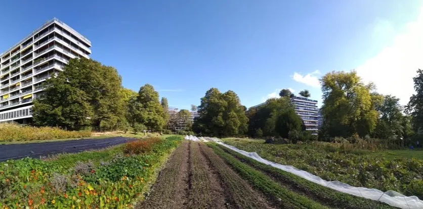 Agriculture urbaine