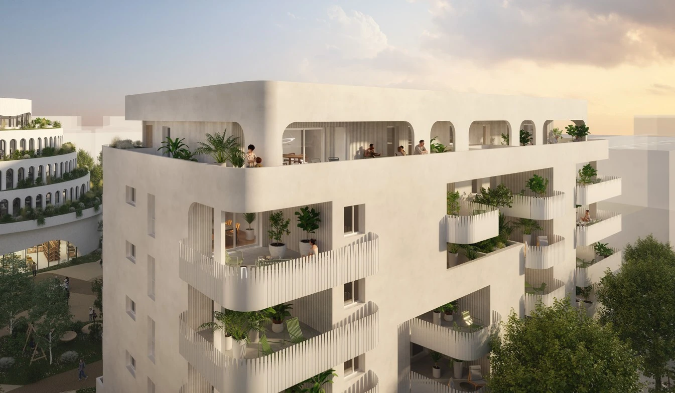 Perspective projet