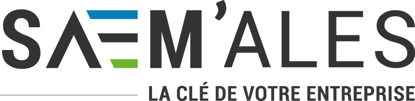 Logo SAEM'Alès