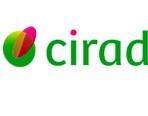 Logo Cirad