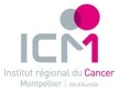 Logo ICM