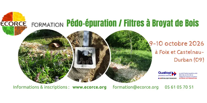 formation Pédo-épuration par filtres à Broyat de bois ecorce