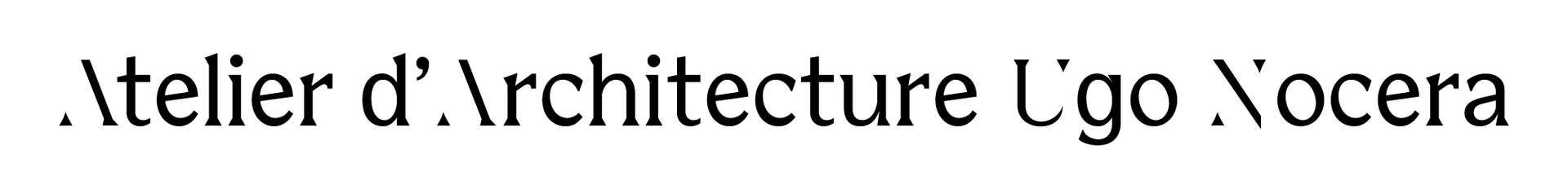 Logo AAUN