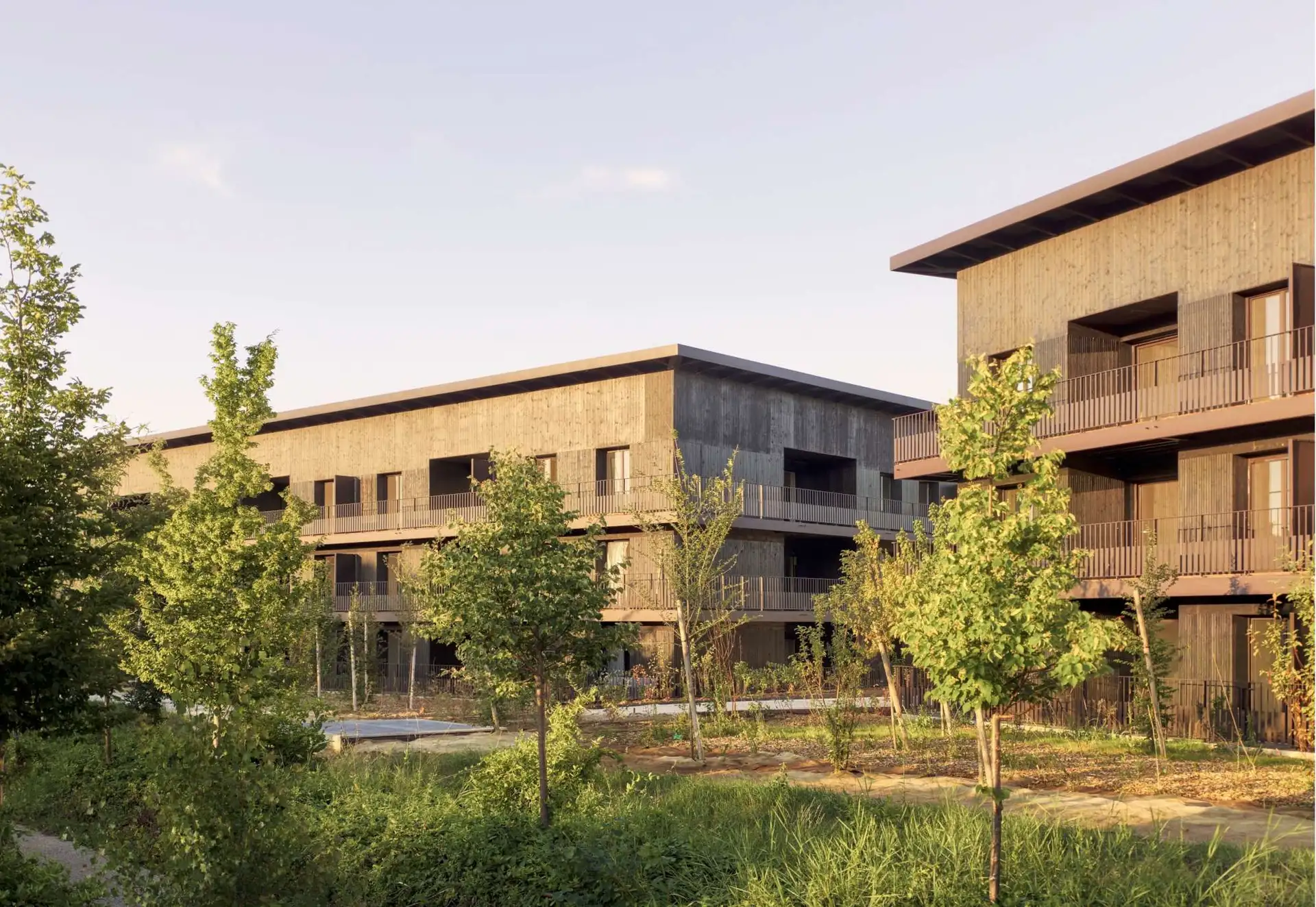 Carré Flore, les logements collectifs derrière des haies arborées