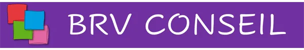 Logo de BRV CONSEIL