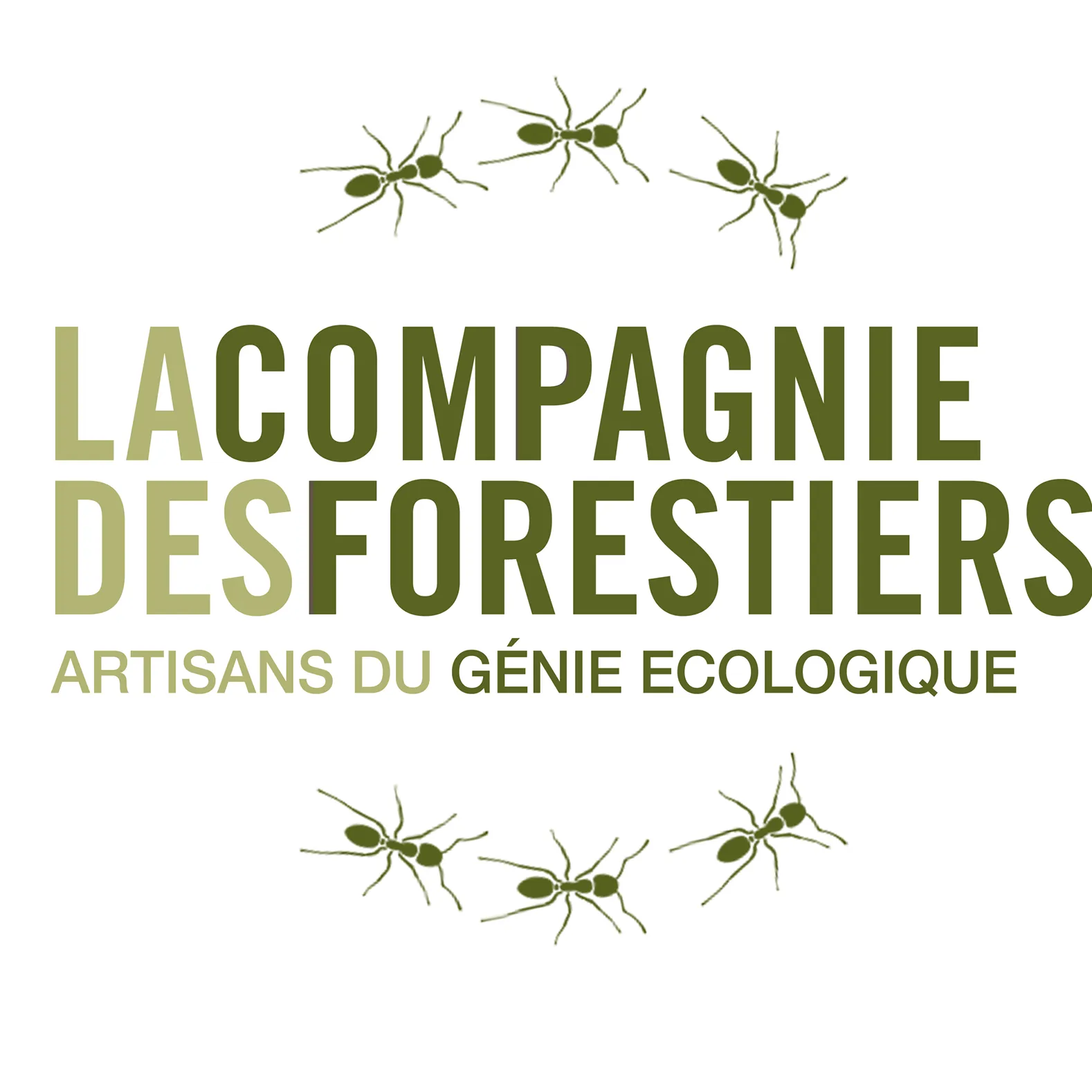 Logo de LA COMPAGNIE DES FORESTIERS