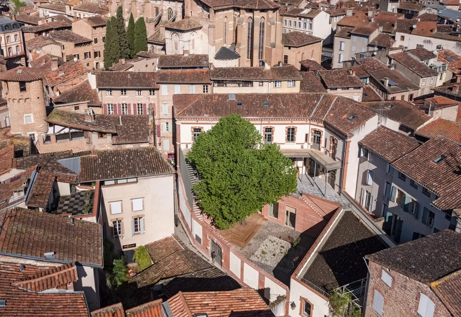 Vue réelle après travaux, avec le tilleul conservé
