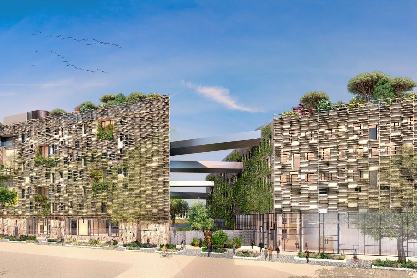 Campus CCI Montpellier Business School PURPLE | Montpellier (34) - Logo