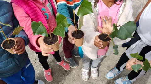 Image de la formation Cours de récréation végétalisées 2