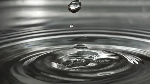 Image de la formation Gestion durable de l'eau