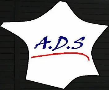 Logo de ADS