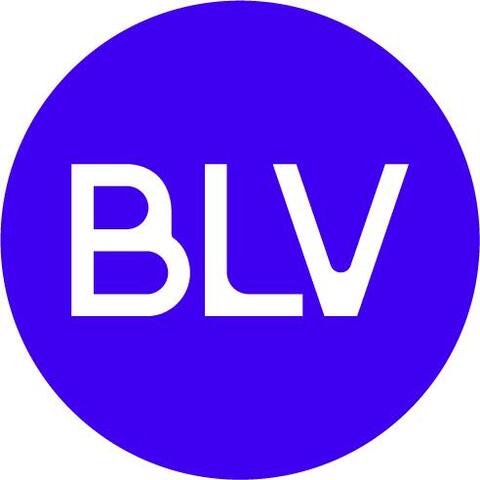 Logo de BELLEVILLES 