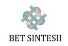 Logo de SINTESII