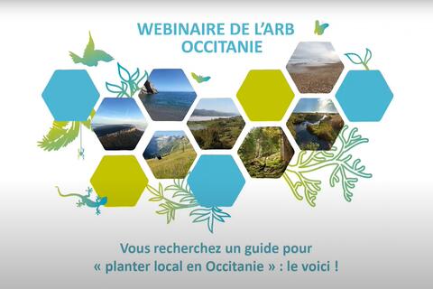 Replay : Webinaire | "Plantons local en Occitanie" | Agence Régionale de la Biodiversité Occitanie