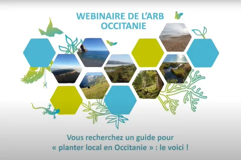 Replay : Webinaire | "Plantons local en Occitanie" | Agence Régionale de la Biodiversité Occitanie