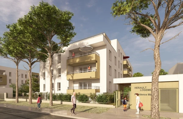 Perspective projet