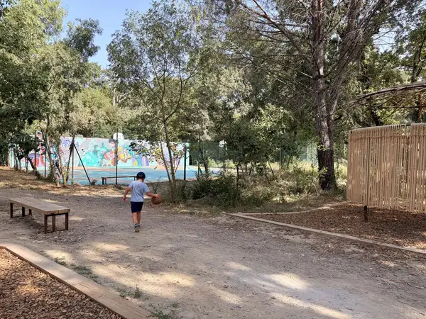 Mobilier et aménagements en bois aux abords du terrain de basket rénové