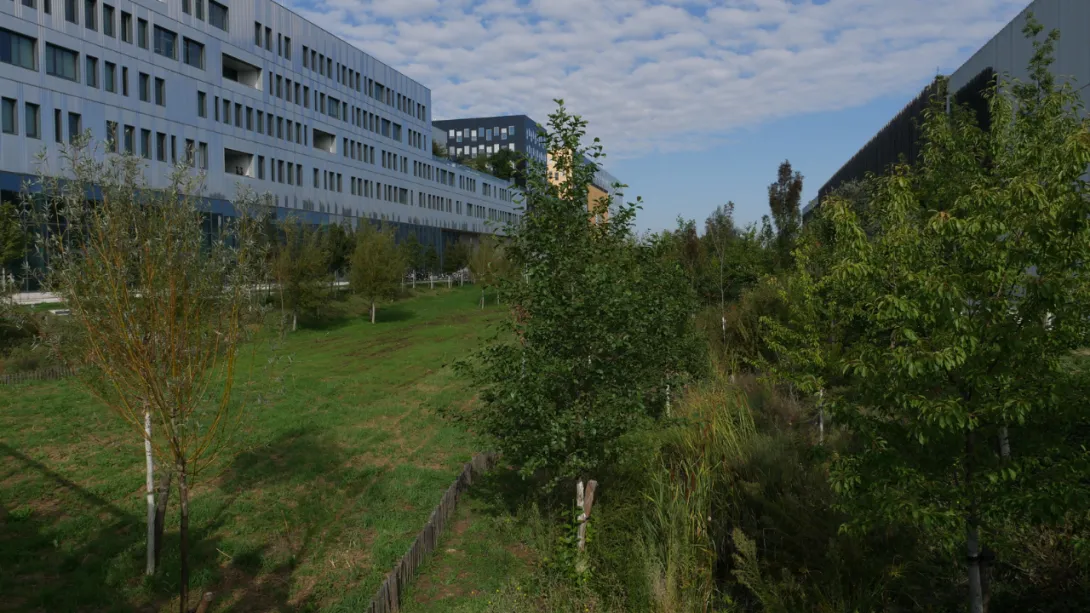 Image de la formation QDO