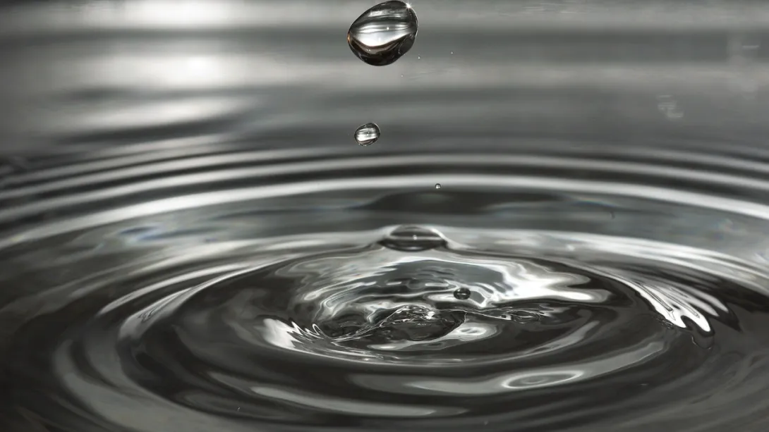 Image de la formation Gestion durable de l'eau