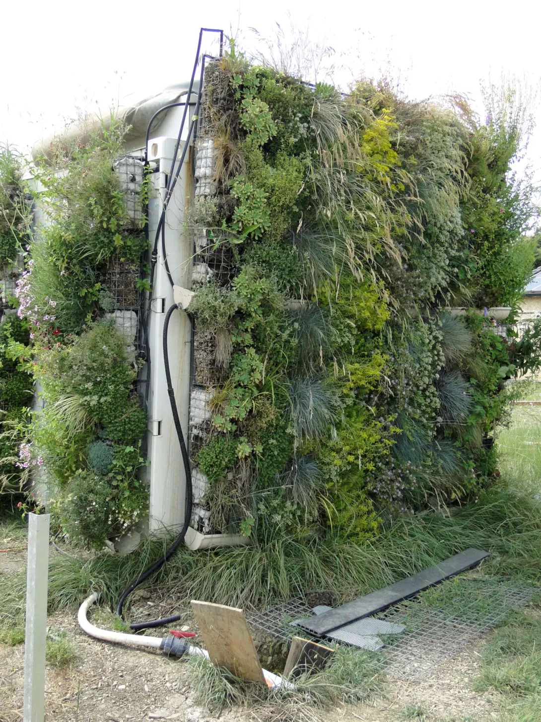 Macondo - mur végétal alimenté par les valorisation des eaux des toilettes/douches
