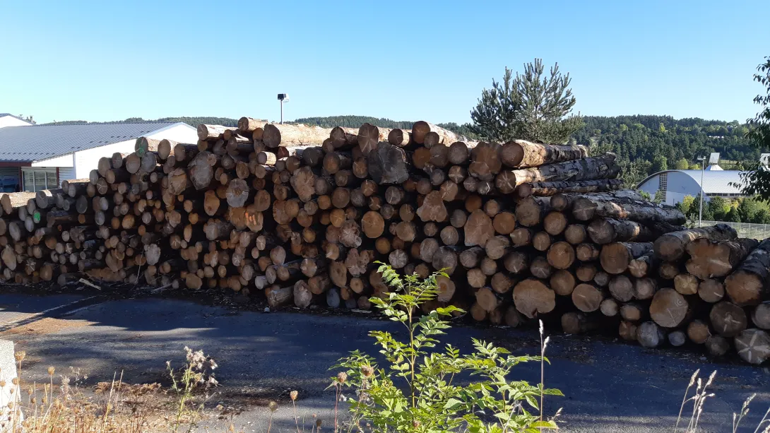 Scierie Falcon | Grumes