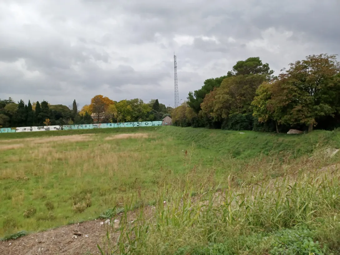 Bassin de Vigier et habitat pour hirondelles et chiroptères