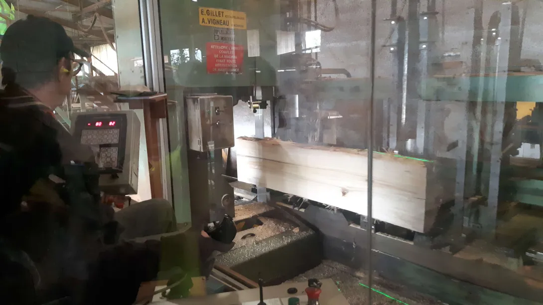 Scierie Granié - La scie de tête intervient juste après l'étape de décorçage