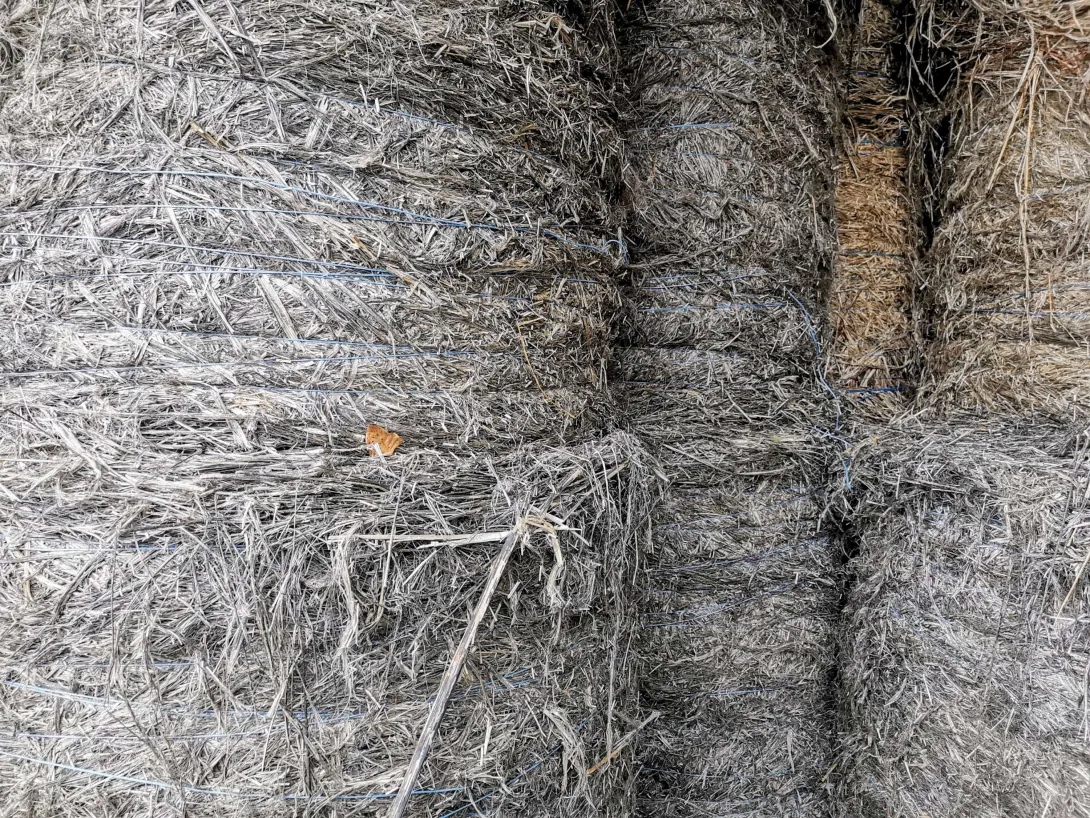 Virgocoop - Balles de chanvre roui