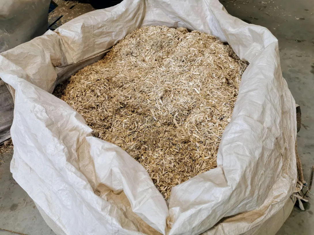 Virgocoop - Gros plan sur la chènevotte