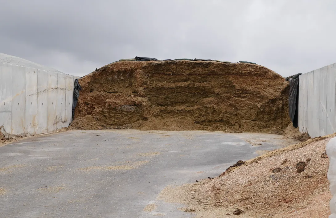 Biodéchets issus des "cives", cultures 100% destinées au méthaniseur