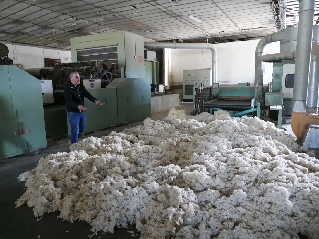 Laine de brebis préalablement triée et lavée puis traitée anti-mites