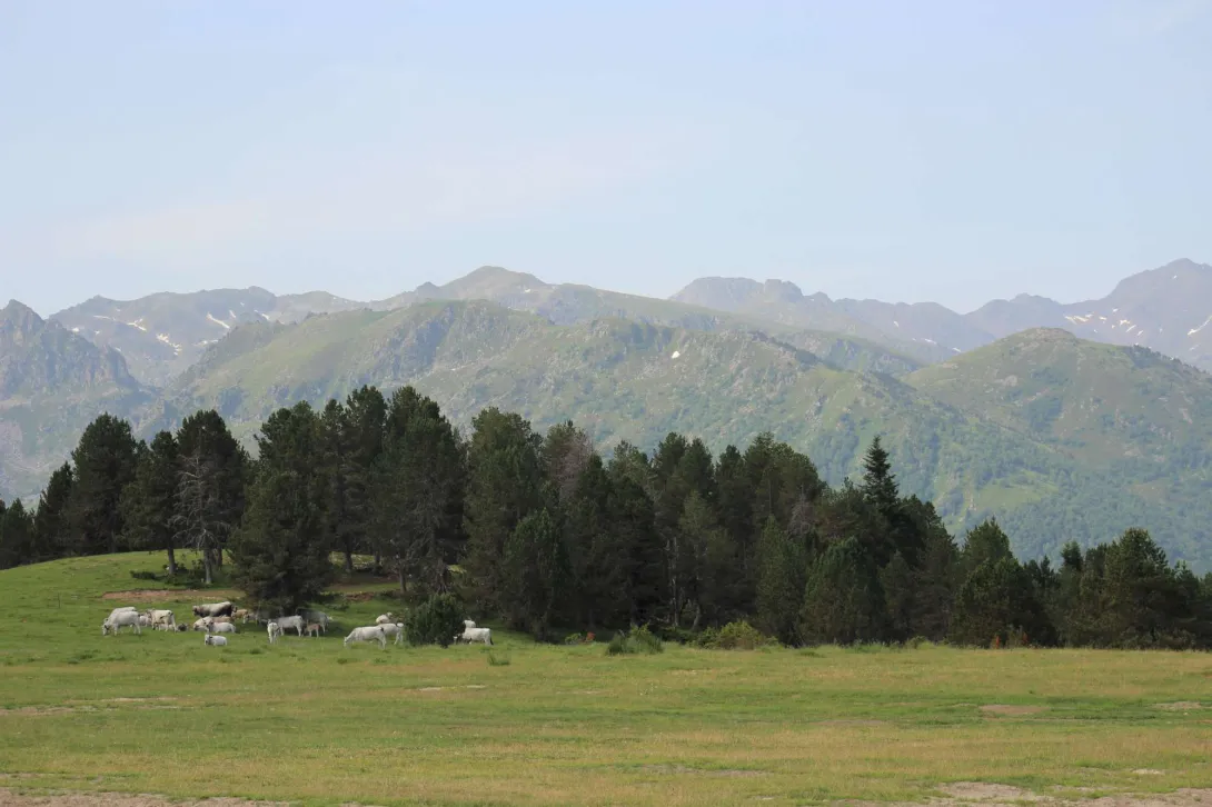 La vue depuis la plateforme de l'atelier